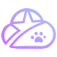 starxn.com