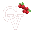 cranberryvalley.golf