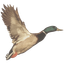 ericramsay.com