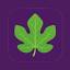 figbid.com