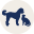 fosterpetwellness.com
