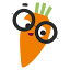 gemueseackerdemie.de