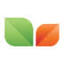 mediagreen.ru