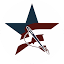 nationalcapitalflag.com
