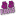 paws.com.au