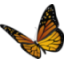 rril.org