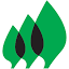 silvantcapital.com