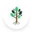 troutwood.com