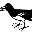 vava.fi