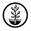 wheatgrasskits.com