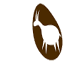 zimodi.com