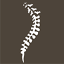 austin-chiropractor.com