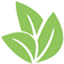 bestweightlosscleanses.com