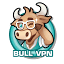 bullvpn.com