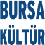 bursakultursanat.com