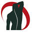 chirodespontssaintnicolas.com