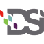 dsinm.com