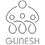 gunesh.ir