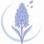 hyacinthbloom.com
