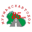 madroad.ru