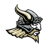 nhsvikings.org