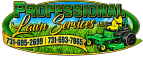 professionallawnservice.com