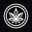 realexotics.net