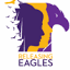 releasingeagles.co.za
