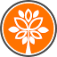 sacsvanya.com