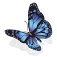 synesthesia.com