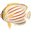 thatquiz.org
