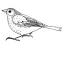 bluebird-design.com