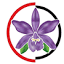 cattaleyanursery.com