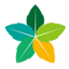 electronazv.com