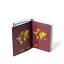 fit-for-europe.info