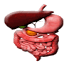 gastroenterologysurat.com