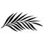 ivoryandcotiaras.co.uk