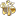 kkdms-dom.ru