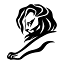 lionsfestivals.com