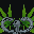medusaok.com