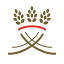 pocklingtonschool.com