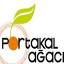 portakalagaci.com