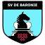 svdebaronie.nl