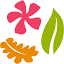 worldfloraonline.org