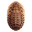 aafeeder.com