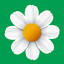 bemol.md