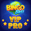 bingovippreprod.com