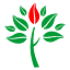 biondiengineering.com