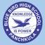 bluebirdschool.org