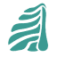 cedarfoundation.org